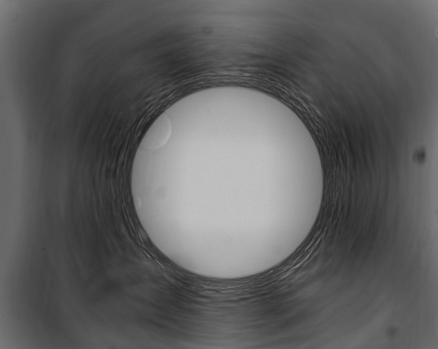 X0000100940431200806241206