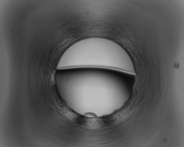X0000100940432200806241206