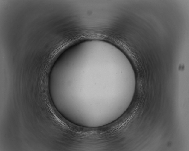 X0000100940433200806241206