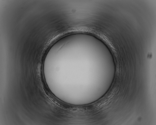 X0000100940434200806241206