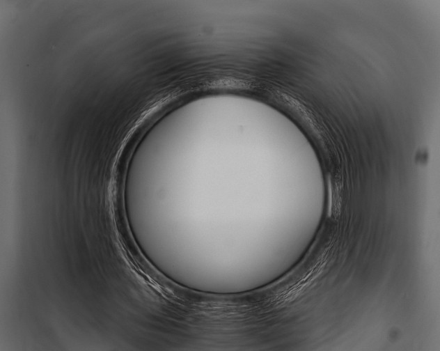 X0000100940435200806241206