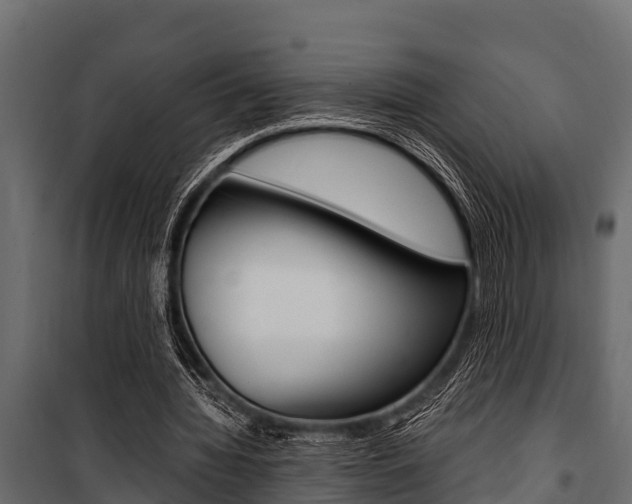X0000100940436200806241206