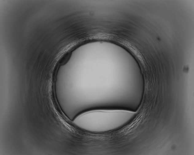 X0000100940437200806241206