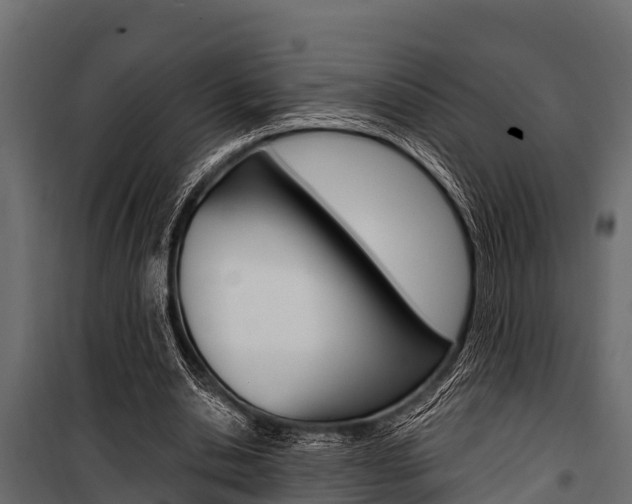 X0000100940438200806241206