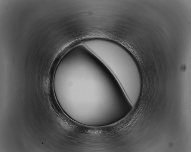 X0000100940440200806241206