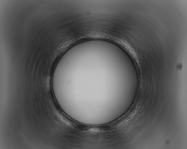 X0000100940441200806241206