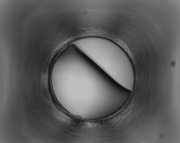 X0000100940442200806241206
