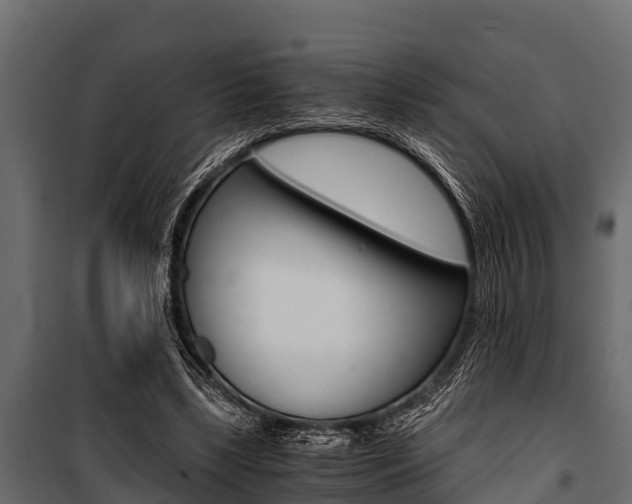 X0000100940443200806241206