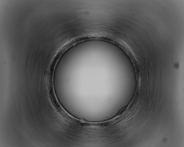 X0000100940444200806241206