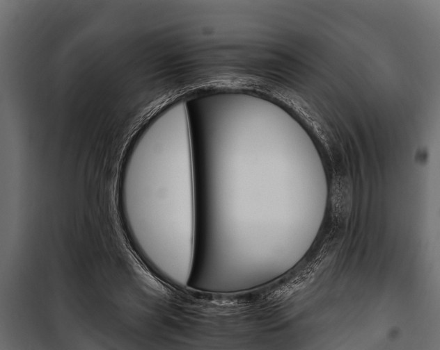 X0000100940445200806241206