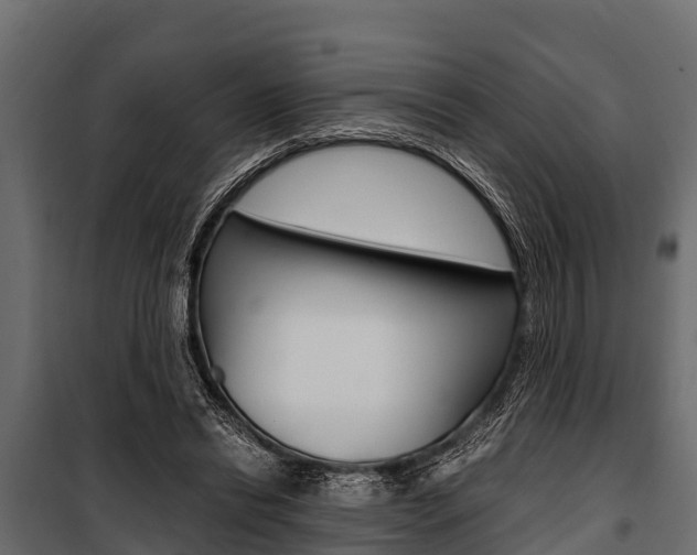 X0000100940446200806241206