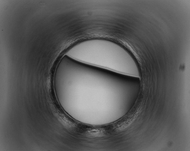 X0000100940447200806241206