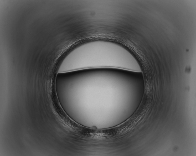 X0000100940448200806241206