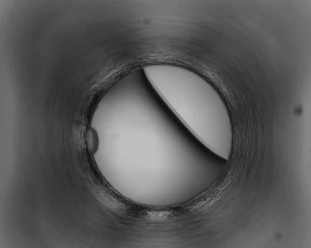 X0000100940450200806241206