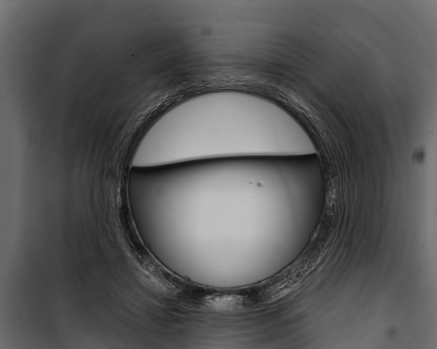 X0000100940452200806241206