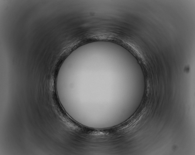 X0000100940453200806241206