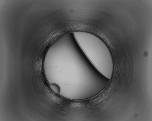 X0000100940454200806241206