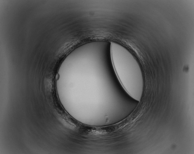 X0000100940455200806241206