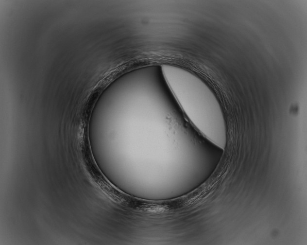 X0000100940456200806241206