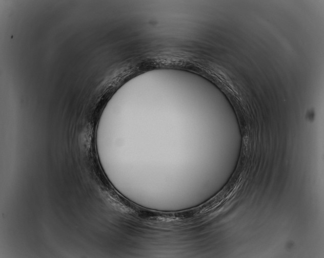X0000100940458200806241206
