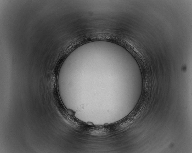 X0000100940459200806241206