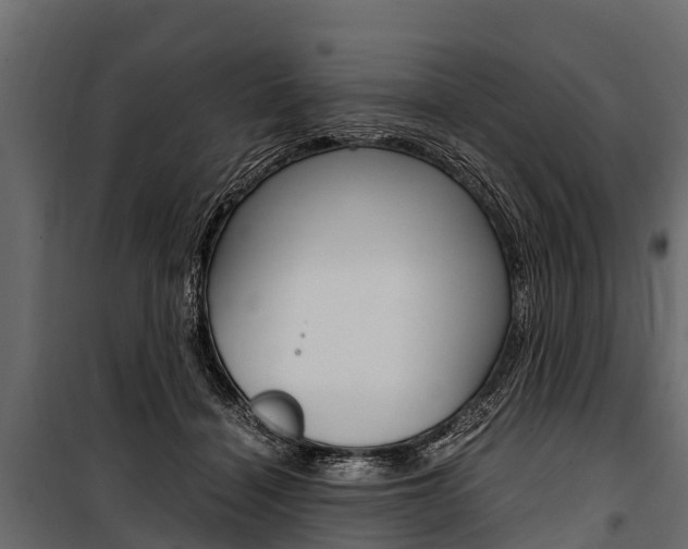 X0000100940460200806241206