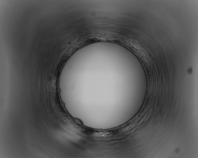 X0000100940461200806241206