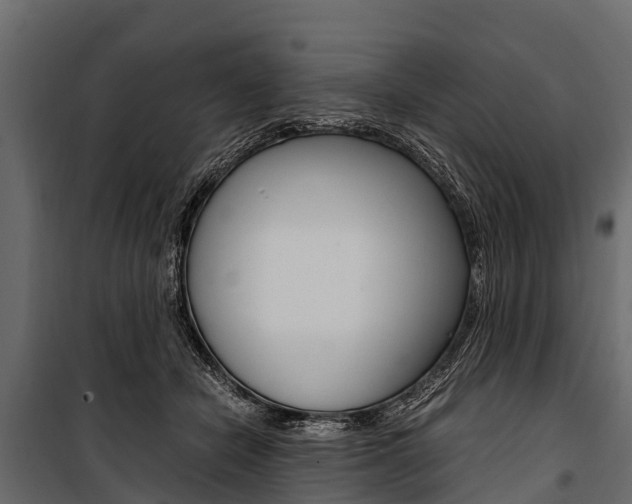 X0000100940462200806241206