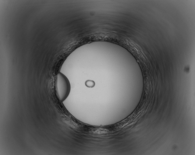 X0000100940463200806241206