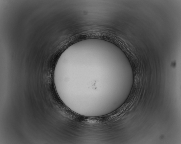 X0000100940464200806241206