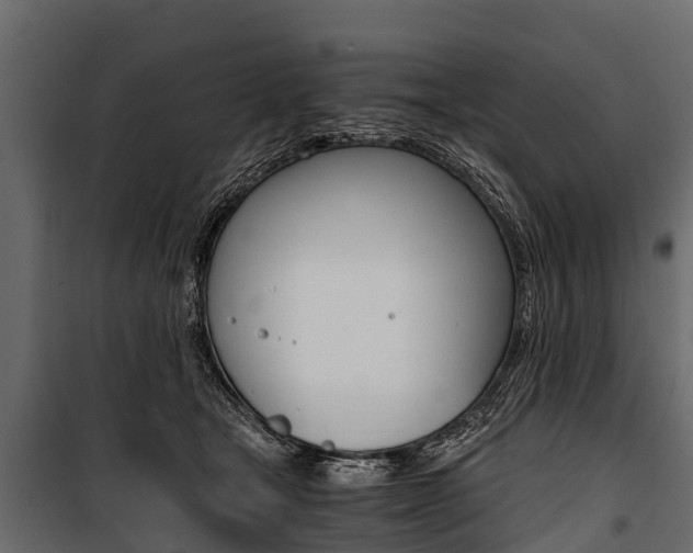 X0000100940465200806241206