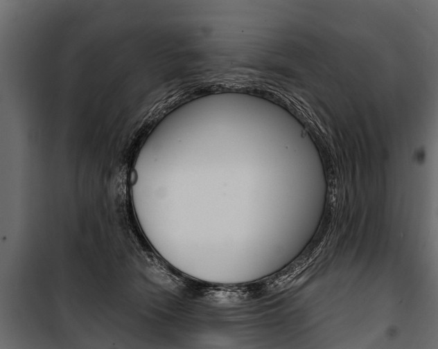 X0000100940466200806241206