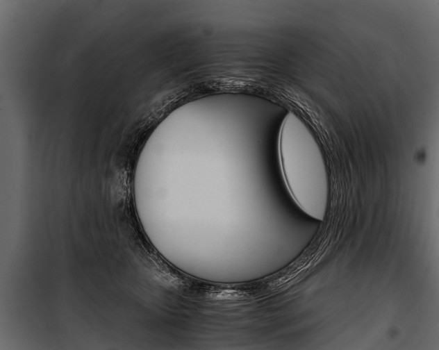 X0000100940467200806241206