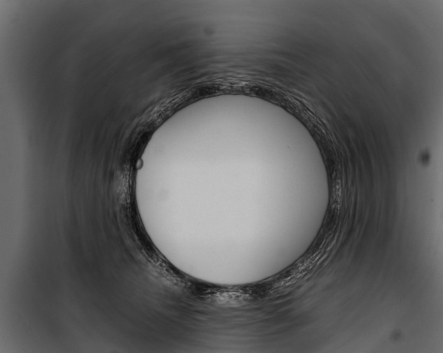 X0000100940468200806241206