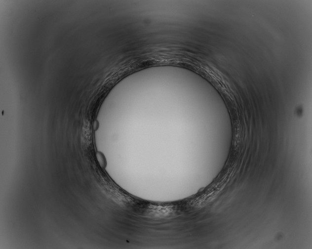 X0000100940469200806241206