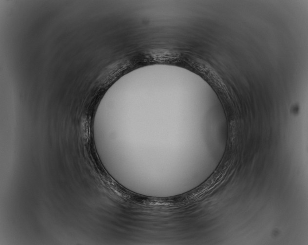 X0000100940471200806241206