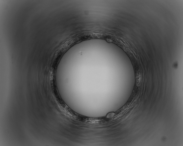 X0000100940472200806241206