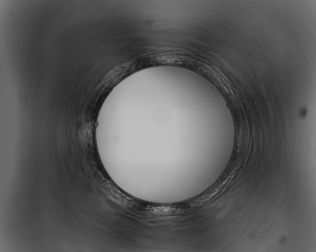 X0000100940473200806241206