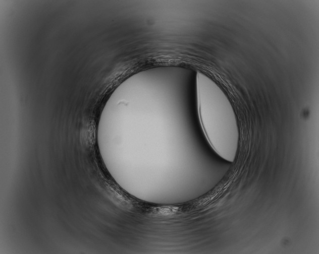 X0000100940474200806241206