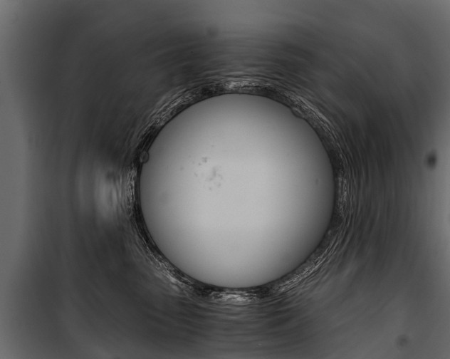 X0000100940475200806241206