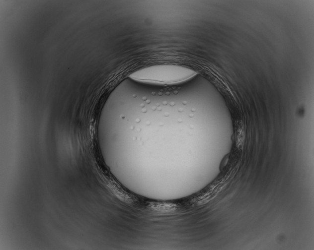 X0000100940476200806241206