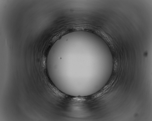 X0000100940477200806241206