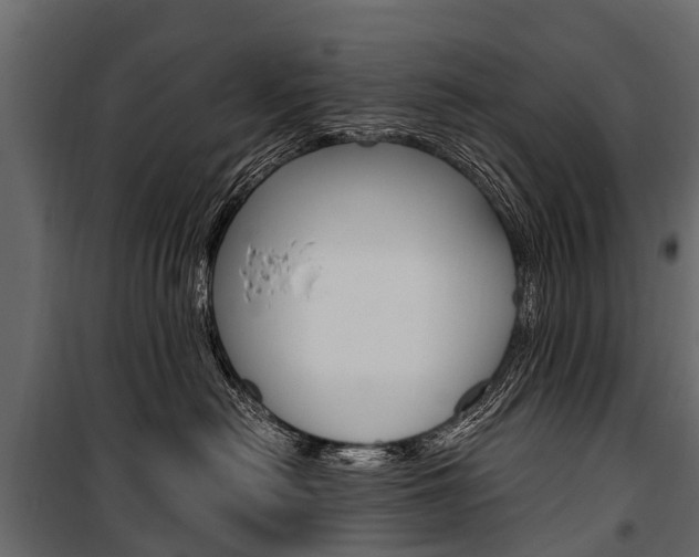 X0000100940478200806241206