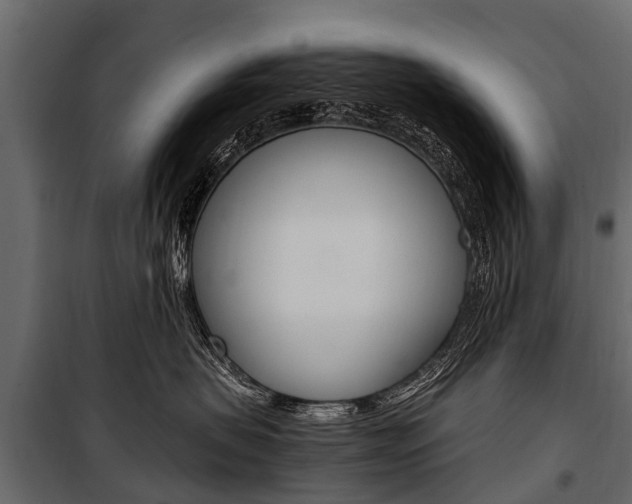 X0000100940479200806241206