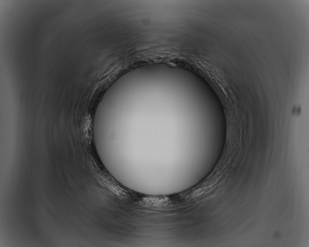 X0000100940480200806241206