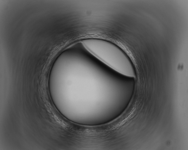 X0000100940481200806241206