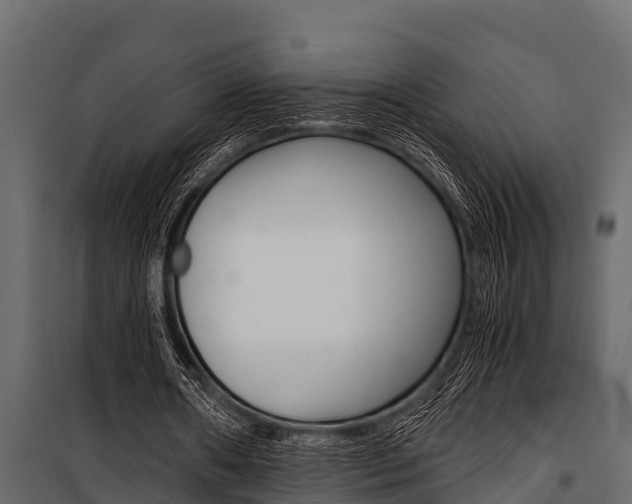 X0000100940482200806241206