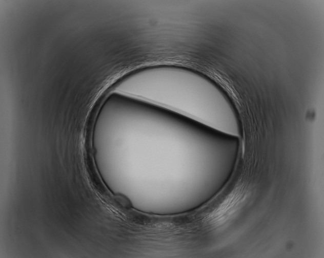 X0000100940483200806241206