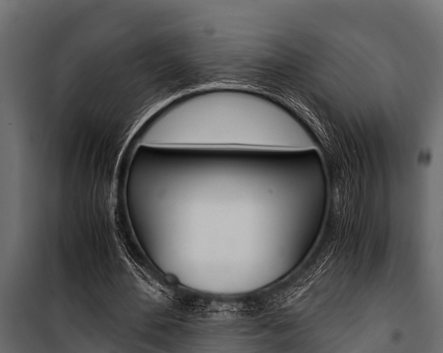 X0000100940484200806241206