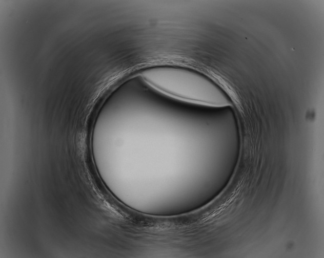 X0000100940485200806241206